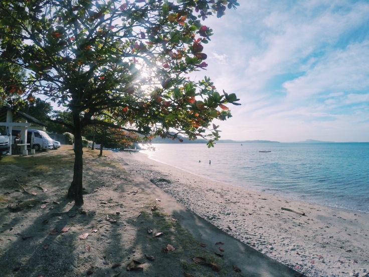 DCIM100GOPROGOPR1083. Processed with VSCO with c1 preset